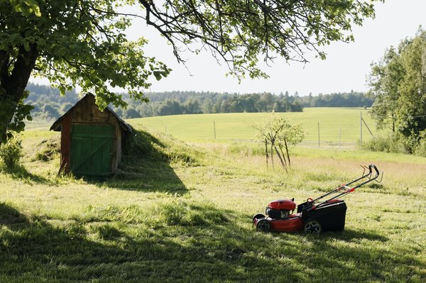Comment choisir le bon type de gazon pour son jardin